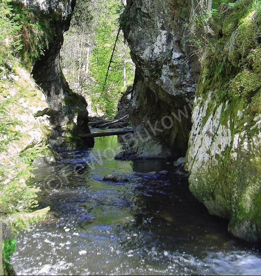 Fewo Bukowina Waldshut-Tiengen Extérieur photo