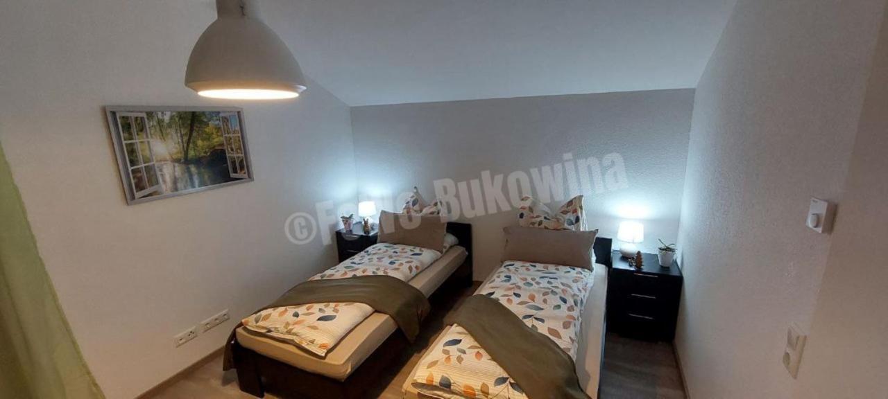Fewo Bukowina Waldshut-Tiengen Extérieur photo