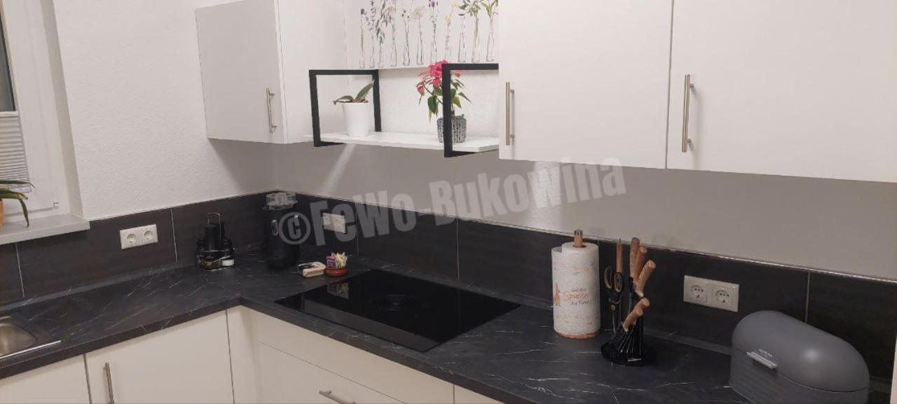Fewo Bukowina Waldshut-Tiengen Extérieur photo